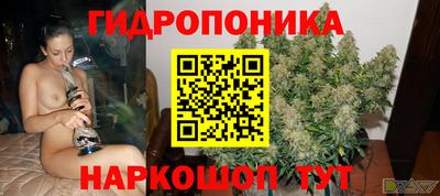 ALPHA PVP Гусев