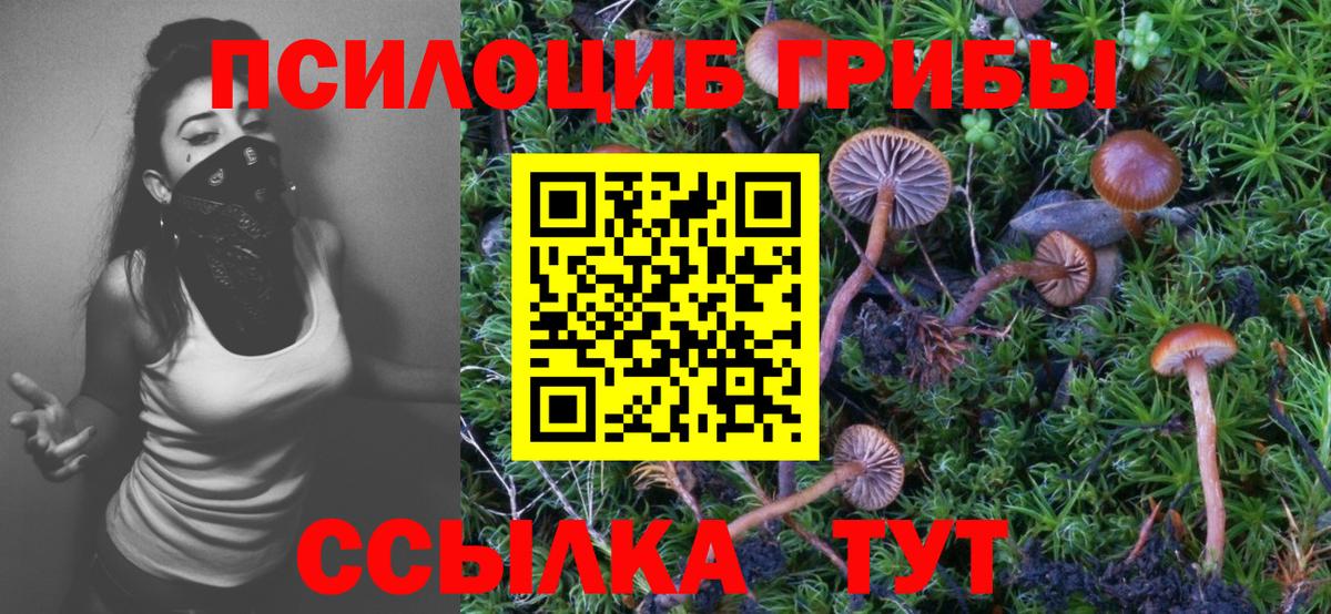 Миллерово  Галлюциногенные грибы Psilocybine cubensis  Вход с VPN  Галлюциногенные грибы ЛСД 